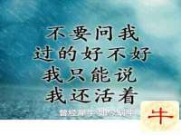 义乌市筱杵贸易商行