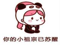 义乌市筱杵贸易商行