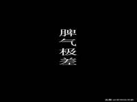 义乌市筱杵贸易商行