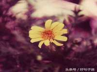 义乌市筱杵贸易商行