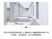 义乌市筱杵贸易商行