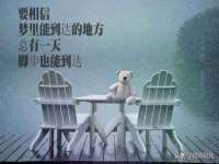 义乌市筱杵贸易商行