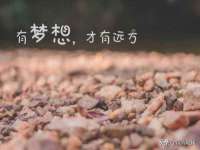 义乌市筱杵贸易商行