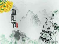 义乌市筱杵贸易商行