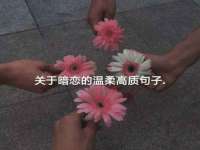 义乌市筱杵贸易商行