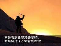 义乌市筱杵贸易商行