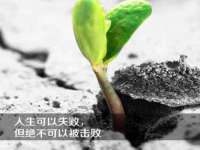 义乌市筱杵贸易商行