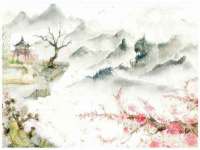 义乌市筱杵贸易商行