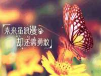 义乌市筱杵贸易商行