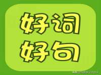 义乌市筱杵贸易商行
