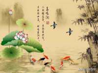 义乌市筱杵贸易商行