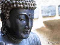 义乌市筱杵贸易商行