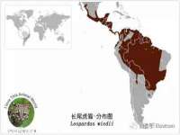 义乌市筱杵贸易商行