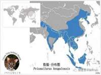 义乌市筱杵贸易商行