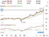 义乌市筱杵贸易商行