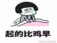 义乌市筱杵贸易商行