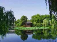 义乌市筱杵贸易商行