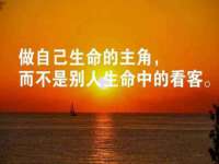 义乌市筱杵贸易商行