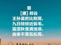 义乌市筱杵贸易商行