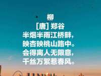义乌市筱杵贸易商行