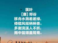 义乌市筱杵贸易商行