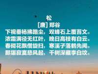 义乌市筱杵贸易商行