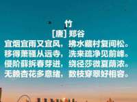 义乌市筱杵贸易商行