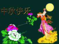 义乌市筱杵贸易商行