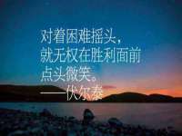义乌市筱杵贸易商行