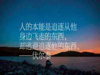 义乌市筱杵贸易商行