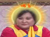 义乌市筱杵贸易商行