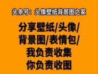 义乌市筱杵贸易商行