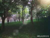 义乌市筱杵贸易商行