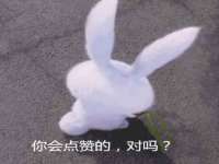 义乌市筱杵贸易商行