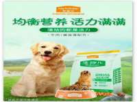 义乌市筱杵贸易商行