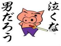 义乌市筱杵贸易商行