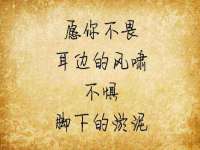 义乌市筱杵贸易商行