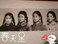 义乌市筱杵贸易商行