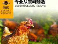 义乌市筱杵贸易商行