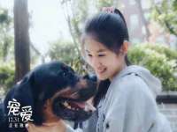 义乌市筱杵贸易商行