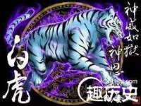 义乌市筱杵贸易商行
