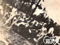 义乌市筱杵贸易商行