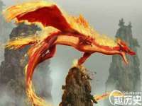 义乌市筱杵贸易商行