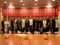 义乌市筱杵贸易商行