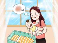 义乌市筱杵贸易商行