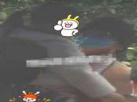 义乌市筱杵贸易商行