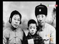 义乌市筱杵贸易商行