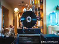 义乌市筱杵贸易商行