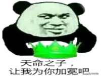 义乌市筱杵贸易商行