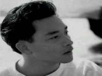 义乌市筱杵贸易商行